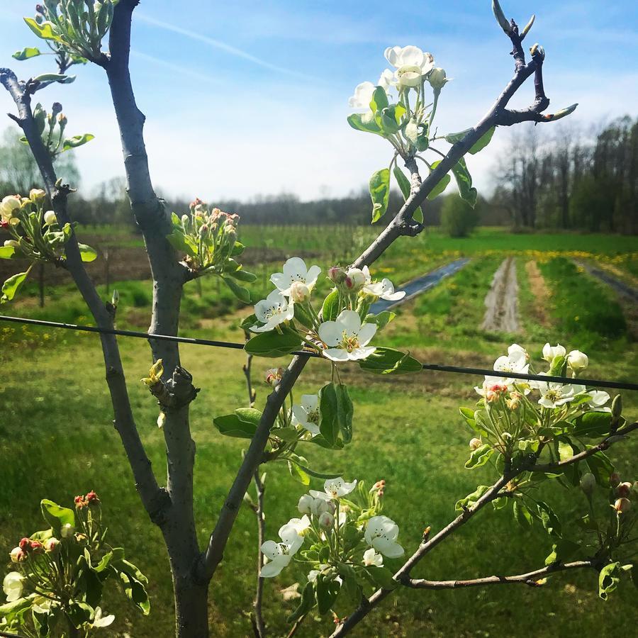 Carpignano Sesia Agriturismo La Biandrina מראה חיצוני תמונה